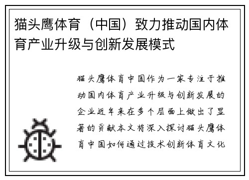 猫头鹰体育（中国）致力推动国内体育产业升级与创新发展模式